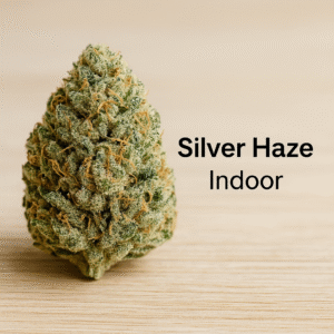 silver haze