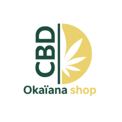 chatgpt image 20 nov. 2025, 09 14 10