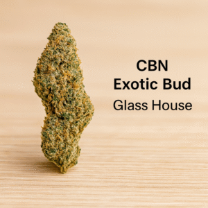 cbn exotic bud – glass house