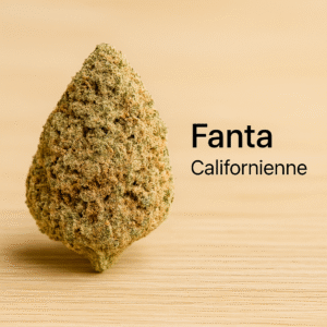 fanta – fleur californienne