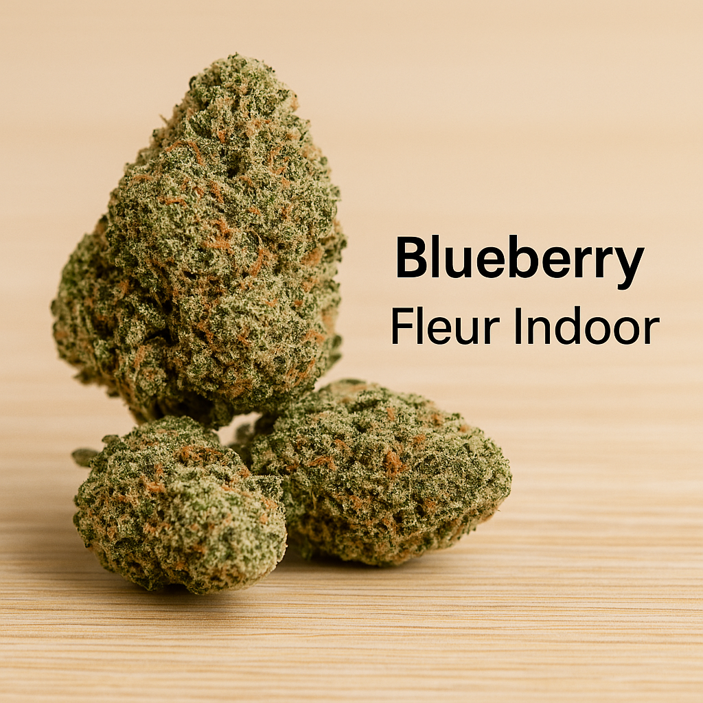 blueberry – fleur indoor blueberry – fleur indoor