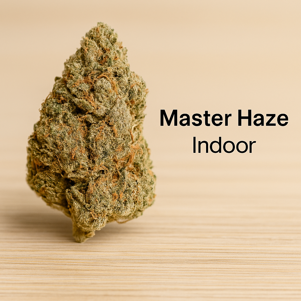 master haze – fleur indoor master haze – fleur indoor