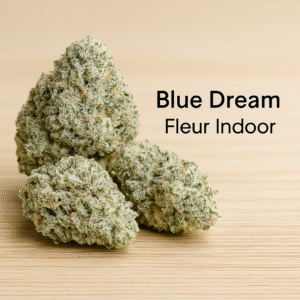 blue dream – fleur indoor